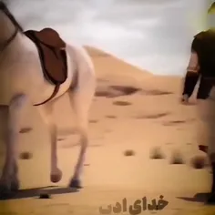 تبریک‌ میگم‌ امام‌ زمانم،‌ جانانِ من💛