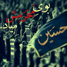 یا حسین (ع)