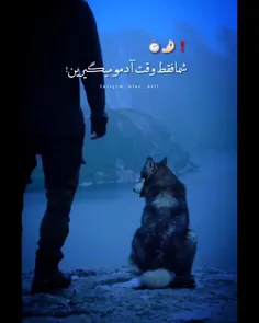 شما فقد وقت ادمو میگیرین😐🚶🏻