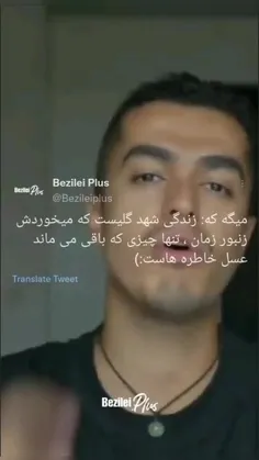 زندگی شهد گلیست که میخوردش زنبور زمان.!✨️