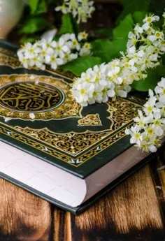 دعاهای قرآنی برای هر مشکلی