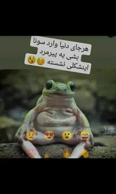 #اقای_چت