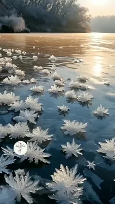 مزرعه‌ای از کریستال‌های برف یخ زده ❄️