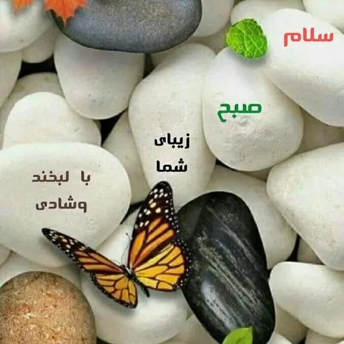 🌷صبح هست