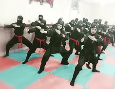 ninja_renjer