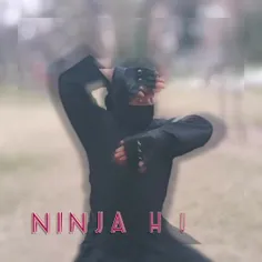  خانه نینجا  Ninja Huse