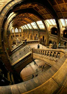 نمایی جالب از داخل موزه تاریخ طبیعی در لندن انگلستان