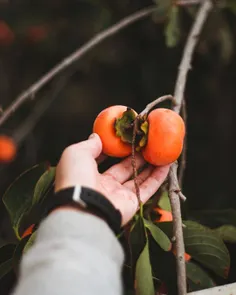 هنگامی که برای انسان ها آرزوی سعادت می کنی، نیروی درونت ب