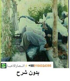 بدون شرح