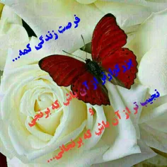 مذهبی shamimvesal 19992259