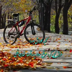 🍂همچون درخت که