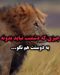 بی مخاطب همگانی.....