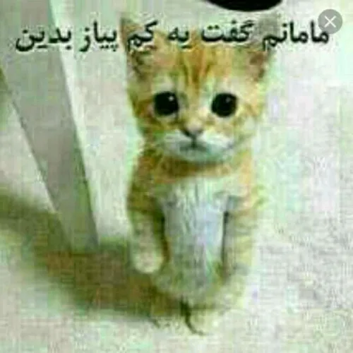 مامانم گفته یکم پیاز بدید😂😂