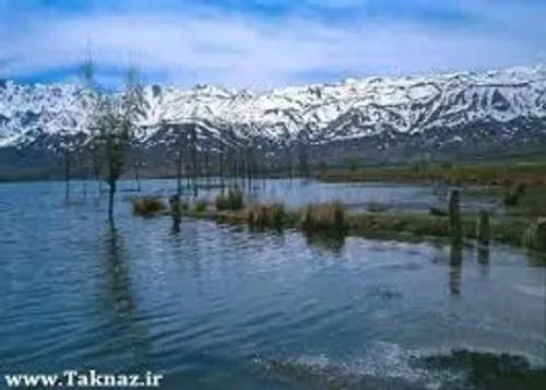 چشمه کوهرنگ