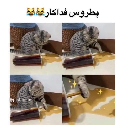 اوخی چ مظلومم شده خرابکار😑😍😂