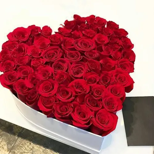 🌹"گلسرخ"