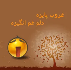 توضیحی ندارم