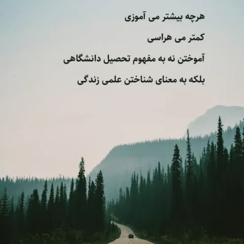 هرچه بیشتر می آموزی