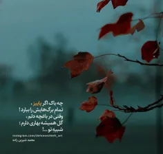 گل همیشه بهارم... 