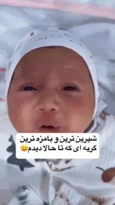 این گریه نمیکنه مسخرمون کرده😂