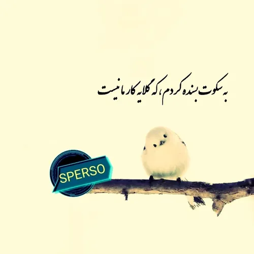 عکس نوشته sperso 42477666 - عکس ویسگون