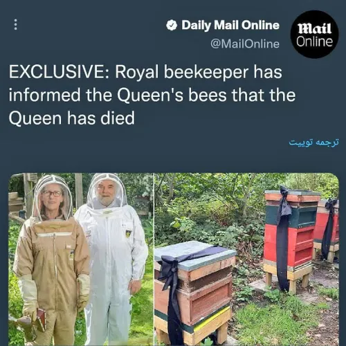 رفتن به زنبور ها مرگ ملکه خبیث انگلیس رو خبر بدهند!!!