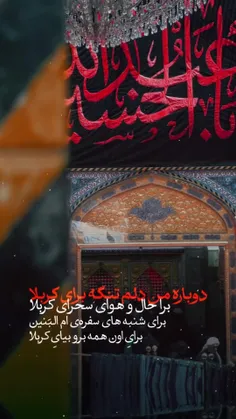 دوباره من دلم تنگه برای کربلا