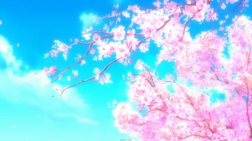 شکوفه گیلاس ^-^ خیلی خوشگله ^^