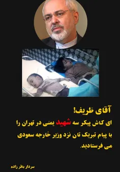 اگر یکی از عزیزان آقای ظریف در یمن بود و خدای ناکرده توسط