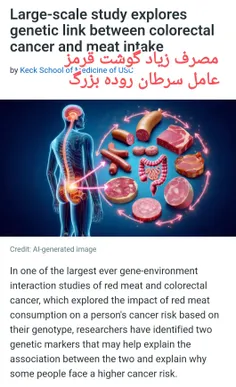 پژوهش بزرگ جمعیتی مارکر های ژنتیکی نشان داد مصرف زیاد گوش