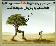 رسیدن به هدف