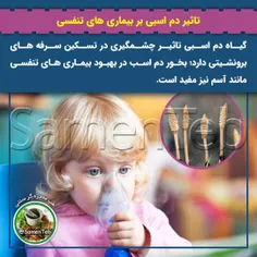 ✅ تاثیر دم اسبی بر بیماری های تنفسی
