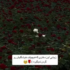 Baran