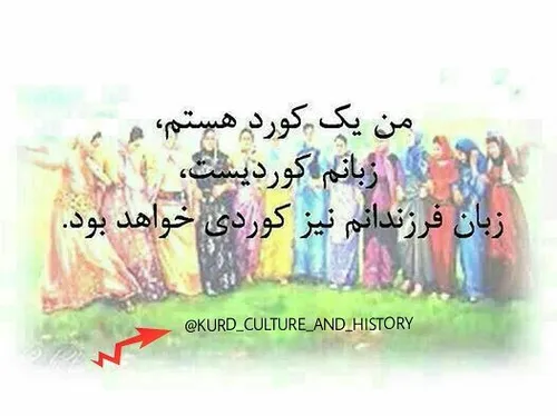 من کوردم.