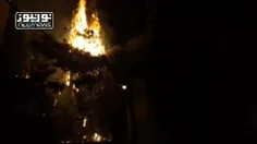 🎥  آتش گرفتن درخت در اثر اصابت مواد آتش‌زا در منطقه قیطری