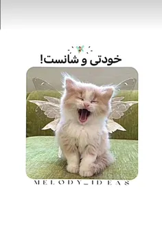 ماه تولدت رو بگو چی بودی 🤣🤣