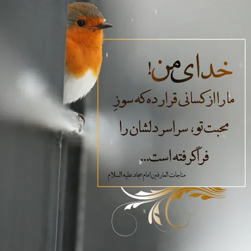 خدای من