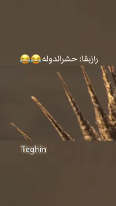 راز بقا: این قسمت حشرالدوله🤣💦