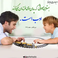 #حکمت_های_علوی