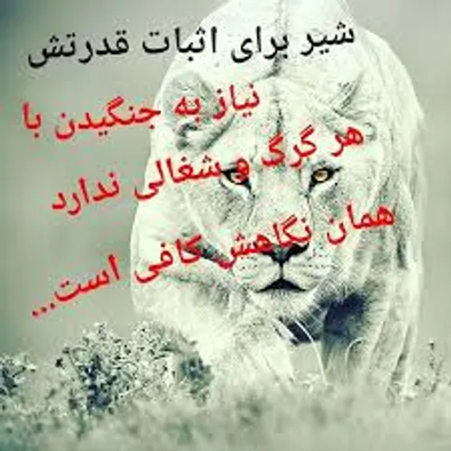 لایک و فالو یادتون نره .