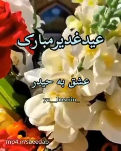 شیرِ خدا علی،شاهِ دنیا علی