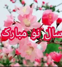 🌸سرسبزترین 