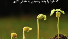 اگر صبر داشته باشی و همه چی رو برای رسیدن به هدفت وقف کنی