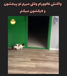 چه جیغی هم زد😂😂