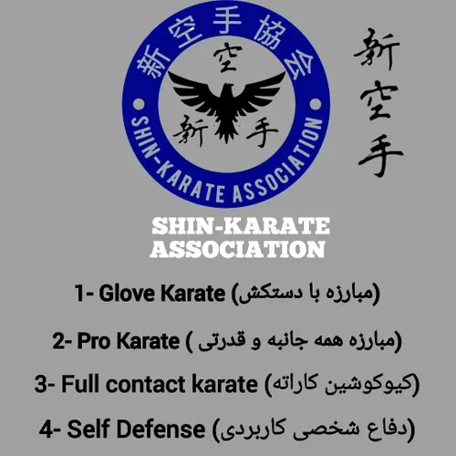 SHIN KARATE ASSOCIATION