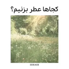 کجاها عطر بزنیم؟🚿💖