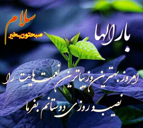 سلام صبح همگی بخیر