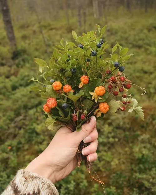 ●🧡🍀•حالِ خوبتو به هیچ اتفاق و شرایطی گره