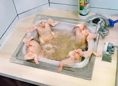 لایک کن جونم....