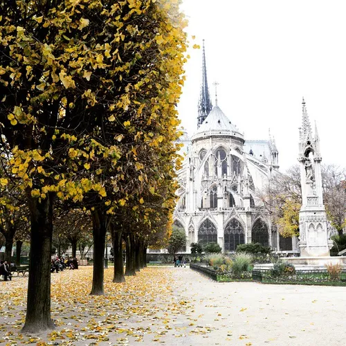 Behind notre dame